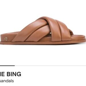 Anine Bing Lizzie Slide Sandals in Cognac